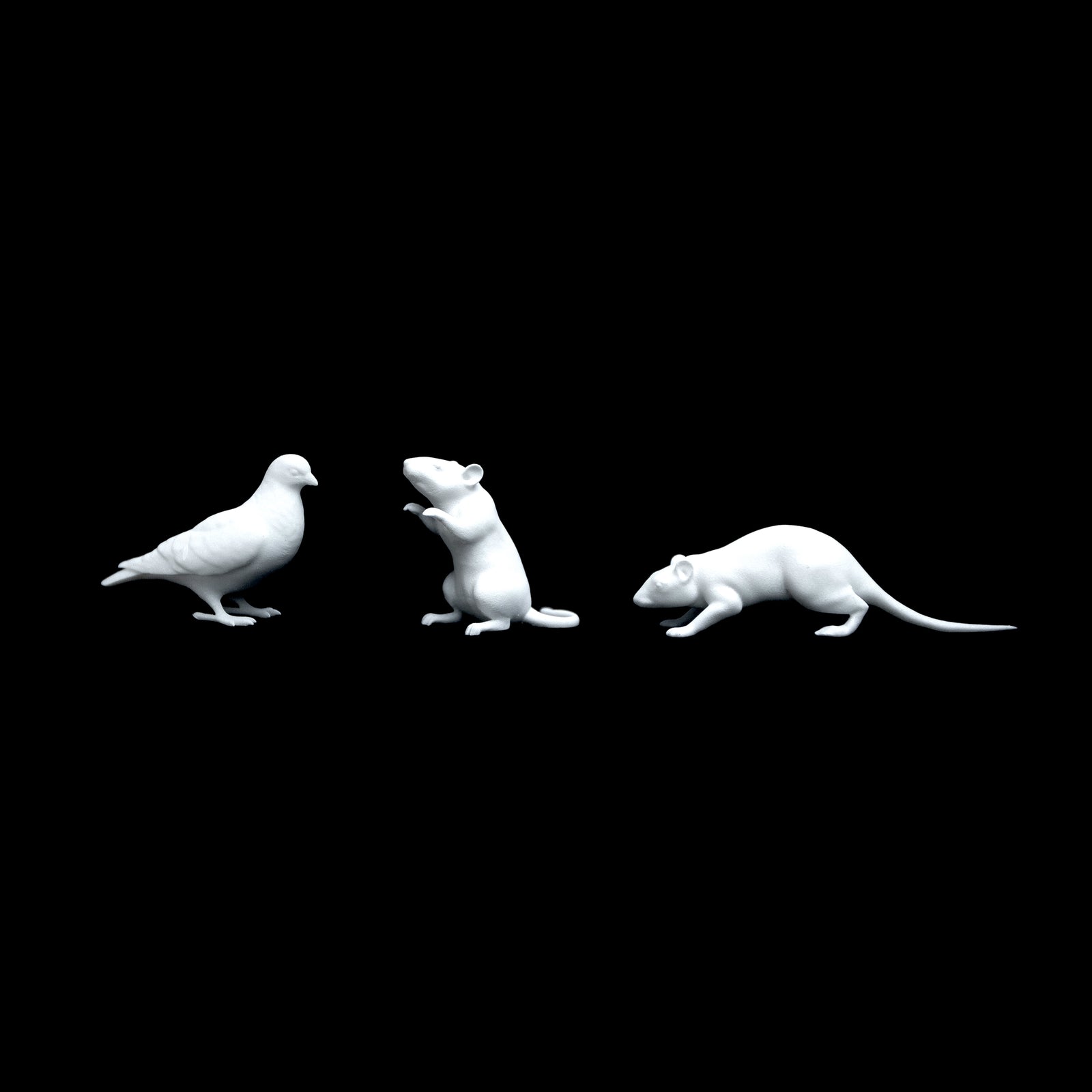 Street animals — Set of 3